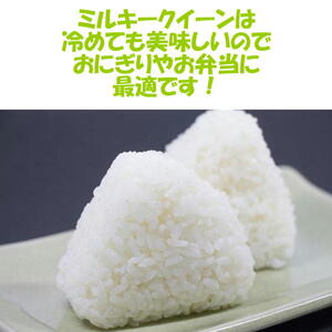 二瓶商店の会津産 ミルキークイーン 白米 5kg×2袋｜令和5年産 会津産 米 新米 白飯 お米 [0105]