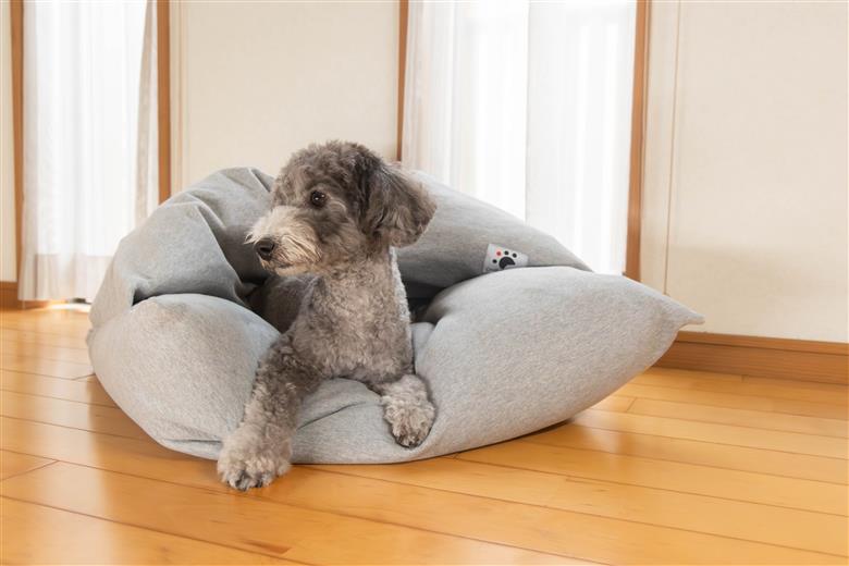 【ふとん屋が考えた】ドーム型 とろけるペット羽毛クッション 天然鉱石配合 犬 猫 ペットベッド ペットクッション 犬や猫が大好き!! H162-038