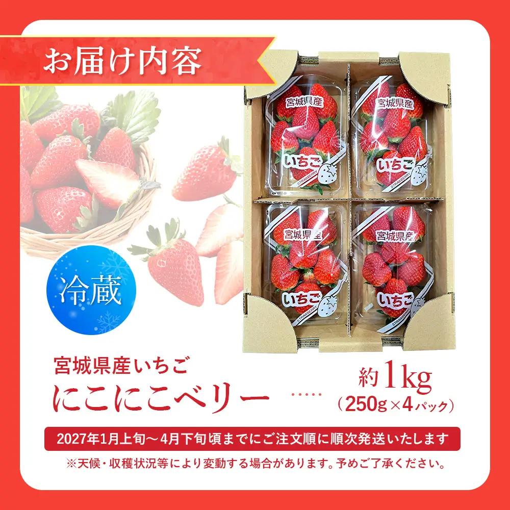 【先行受付】宮城県産いちご「にこにこベリー」約1kg（250ｇ×4）【58002】
