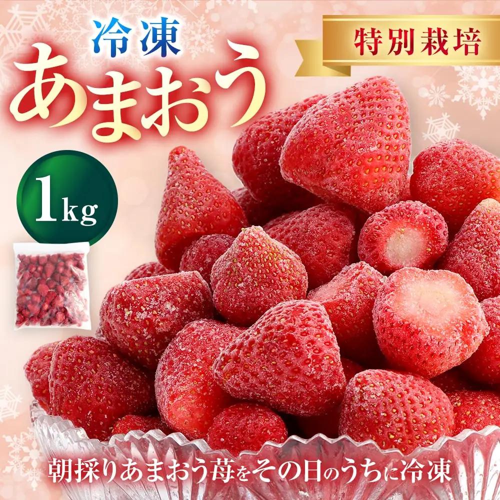 【特別栽培】うるう農園 冷凍あまおう 1kg あまおう イチゴ いちご 苺 フルーツ 果物