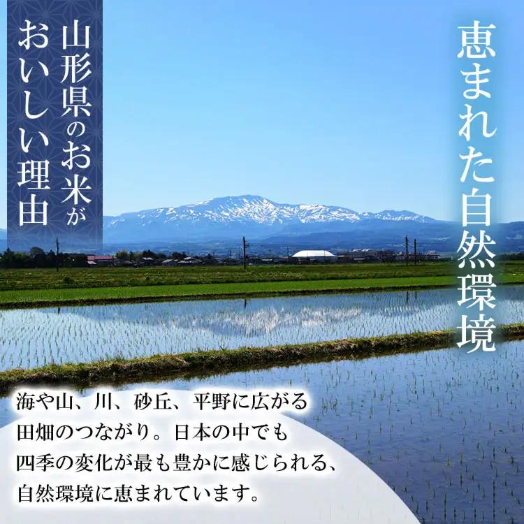 【令和7年産】はえぬき 玄米 5kg (5kg×1袋)　山形県産 SDGs未来都市鶴岡 エコ包装
