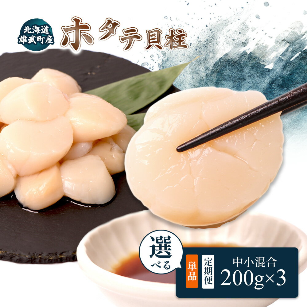 【ふるさと納税】北海道雄武町産ほたて貝柱 中小混合 200g×3 (冷凍) 定期便（1～6回） 選べる回数 使い切りパック | 北海道 雄武 ホタテ 帆立 ほたて 冷凍 オホーツク産 刺身 魚貝 魚介 海鮮 海産 海産物 魚介類 お取り寄せ ワンストップ マイページ 雄武漁業協同組合