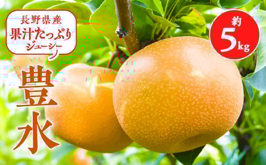 
            2025年秋!信州の梨＜豊水＞約5kg　果汁たっぷりジューシーな梨!_ なし 梨 ナシ 果物 くだもの フルーツ 青果 国産 産地直送 信州 季節限定 長野県 贈答 ギフト プレゼント 人気 おすすめ 送料無料 お取り寄せ 【1041411】
          