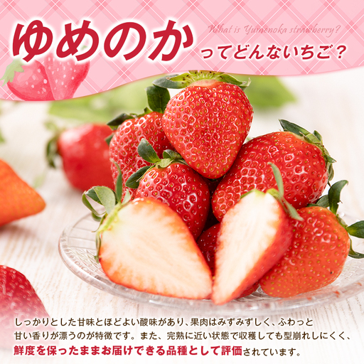＜2027年出荷＞先行予約 宮崎県産 いちご「ゆめのか」計1kg フルーツ 期間限定 デザート ご褒美【B701】