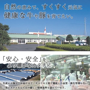 y530 《特別企画》鹿児島黒牛リブローススライスセット(計700g・350g×2P) 国産 九州産 鹿児島 牛肉 黒牛 黒毛和牛 和牛 ブランド牛 リブロース ロース スライス しゃぶしゃぶ すき焼