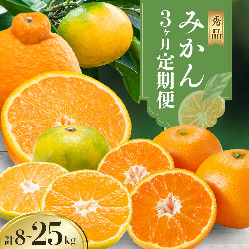 【ふるさと納税】秀品 みかん 3ヶ月 定期便 選べる 内容量 日本フルーツ株式会社《10月出荷開始》熊本県 荒尾市 早生みかん 温州みかん 不知火 果物 フルーツ スイーツ デザート ギフト ご贈答