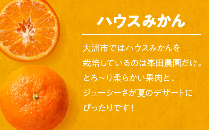 【先行予約】【夏限定】【ご家庭用】愛媛県産 峯田農園のあま〜い「ハウスみかん」5kg　小玉（2S,S,Mサイズ混合）愛媛県大洲市/峯田農園　 [AGBT021]