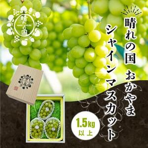 岡山県産 シャインマスカット  1.5kg以上（2～3房）＜2026年9月上旬～10月下旬発送＞ ｜  シャインマスカット
