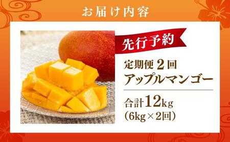 【先行予約】アップルマンゴー12kg　2回に分けて発送