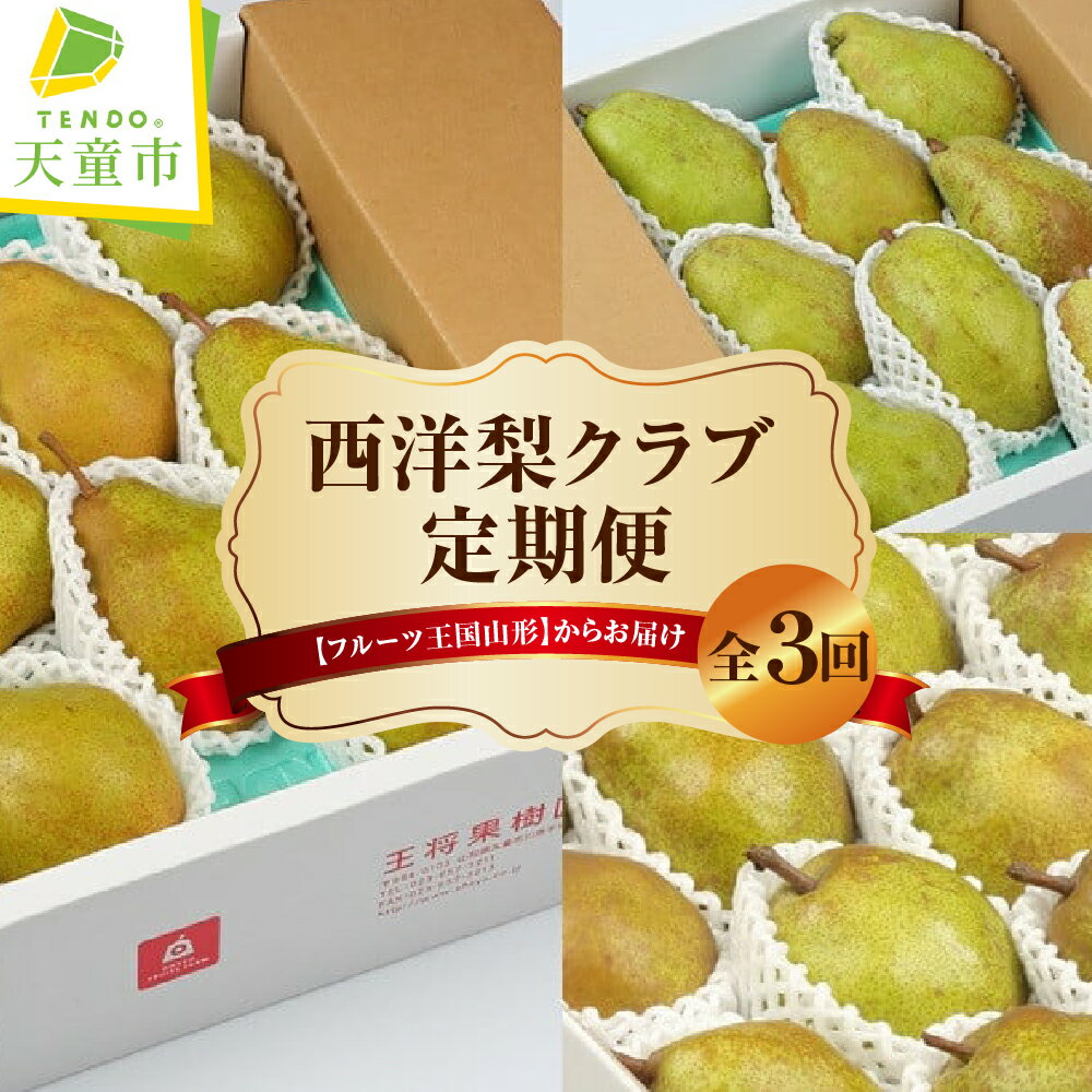 【ふるさと納税】西洋梨クラブ ( 定期便 ) 全3回 バラード ラフランス シルバーベル 3種類 各 3kg 洋なし 西洋梨 果物 フルーツ 家庭用 のし 贈答 ギフト プレゼント おすそ分け セット お取り寄せ 旬 秋 冬 期間限定 送料無料 先行予約 【 山形県 天童市 】