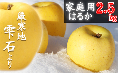 フルーツ大国！ 岩手県産 家庭用 りんご はるか 2.5kg 【谷地農園】 林檎 リンゴ アップル ハルカ 果物 くだもの フルーツ 贈り物 仕送り 自宅用 冬 旬 新鮮 季節 国産 2.5キロ セット 詰め合わせ 詰合せ 詰め合せ 詰合わせ 人気 おすすめ