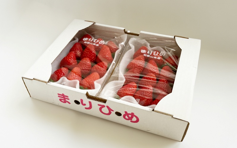 まりひめイチゴ L～２L 12粒～15粒×2パック【2026年1月初旬から発送】【先行販売】【KG7】【kgr007A】