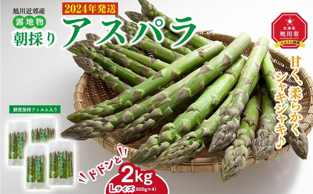 
【先行予約】朝採りアスパラ Lサイズ 2kg（500g×4）鮮度保持パック入り 旭川近郊産 露地物(2024年5月中旬発送開始予定)
