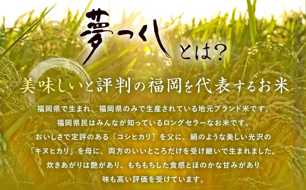【12ヶ月定期便】夢つくし 玄米 PREMIUMパック 24パック×12回