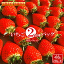 【ふるさと納税】【早期予約・数量限定】いちご 2種 480g 食べ比べ セット 240g × 2パック 春いちご スターナイト おいCベリー ゆうやけベリー かおり野 すず はるひ よつぼし ふるさと納税 福島県 石川 石川町 イチゴ 【1000401】