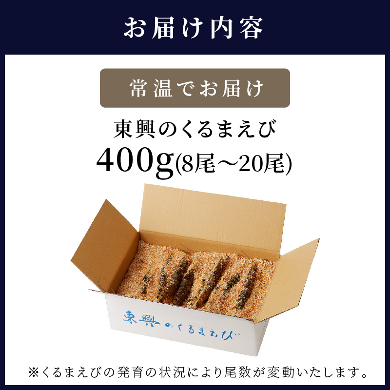 【先行予約】【宅配BOX不可】東興のくるまえび400g入【11月下旬～12月発送】( くるまえび 東興のくるまえび 車海老 海老 エビ )【B6-029-12】