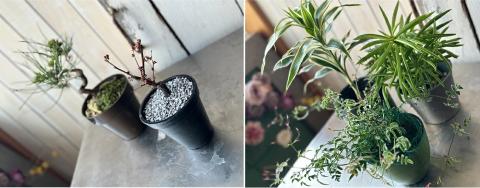 SL0143　【4回定期便】「季節の花や植物の定期便 んだの４」