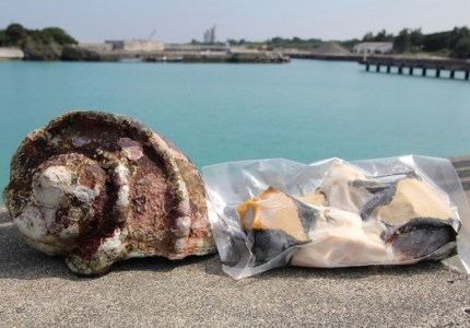 【真空冷凍】夜光貝の刺身１ｋｇ・冷凍ソデイカ１ｋｇセット