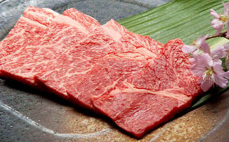 福岡県産 A5 博多 和牛 もも 赤身 焼肉用 600g(300g×2パック)  冷凍