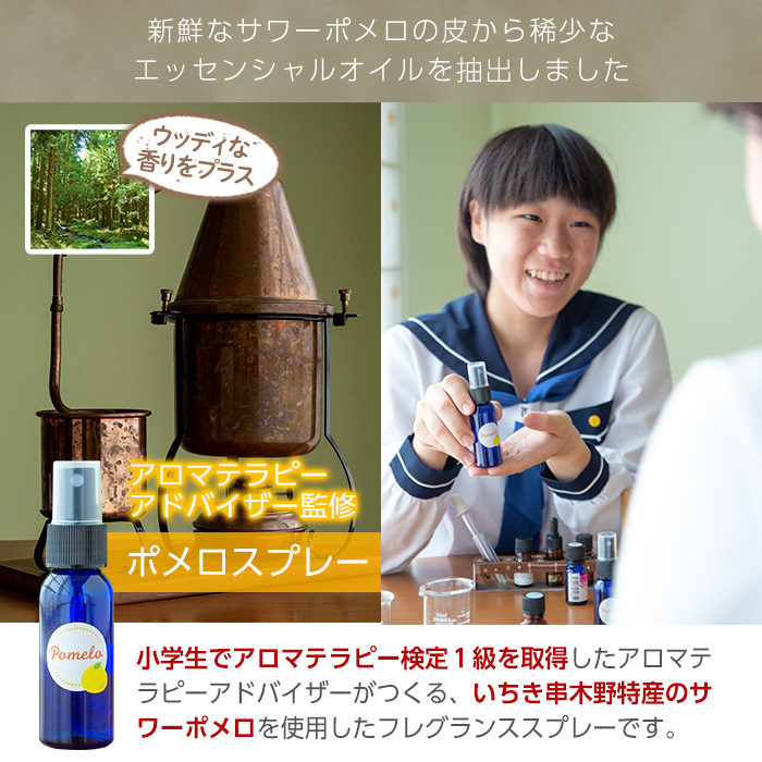 ＜数量限定＞サワーポメロブレンドスプレー(30g・ウッディブレンド)・ジンジャーブレンドティー(6包)・カモミール抹茶(10包) いちき串木野 紅茶 ハーブティー お茶 茶葉 ティーバッグ アロマ ス