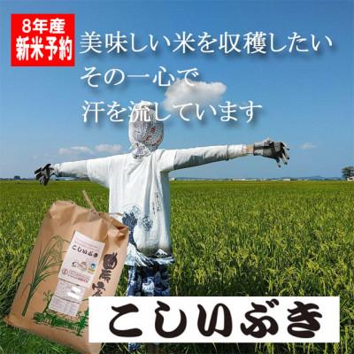ふるさと納税 燕市 【8年産新米 先行予約】コシヒカリとはひと味違う美味しさ「こしいぶき」白米20kg