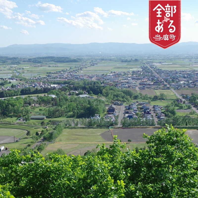 【ふるさと納税】 当麻町への寄付（返礼品はありません）