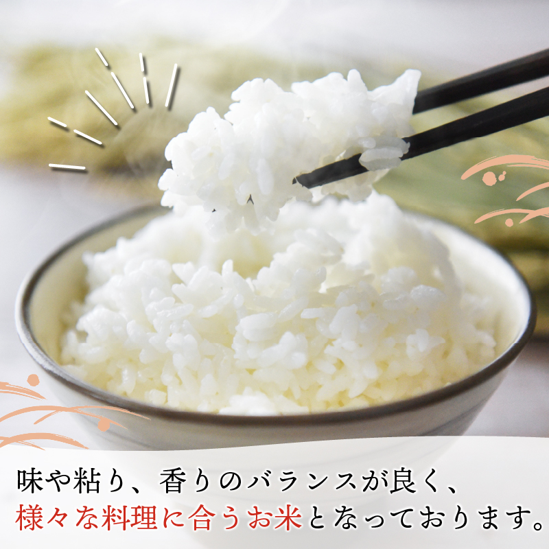 京田辺市産 ヒノヒカリ 10kg R7年度産 お米 米 こめ コメ 精米