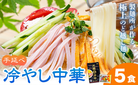 冷やし中華 5食セット(麺80g×5束、スープ5袋) 《30日以内に出荷予定(土日祝除く)》