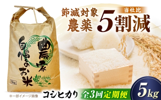 お米 定期便 コシヒカリ 5kg 新米 3ヶ月 <令和8年産> 新米定期便 令和8年 米 お米 こめ コメ 5kg 米5kg お米5kg 米5キロ お米5キロ お米定期便 米定期便 3か月 3カ月 ブランド米 ごはん こしひかり定期便 精米 白米 コシヒカリ米 国産米 おすすめ 人気 お取り寄せ 米定期便 滋賀県 長浜 滋賀県長浜市/狩野農園 [AQDK005]