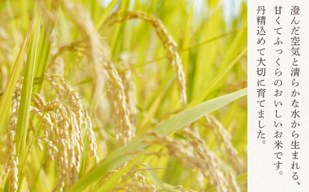 玄米 【10kg】 令和7年産 コシヒカリ 長野県産 【小林農園】7-87