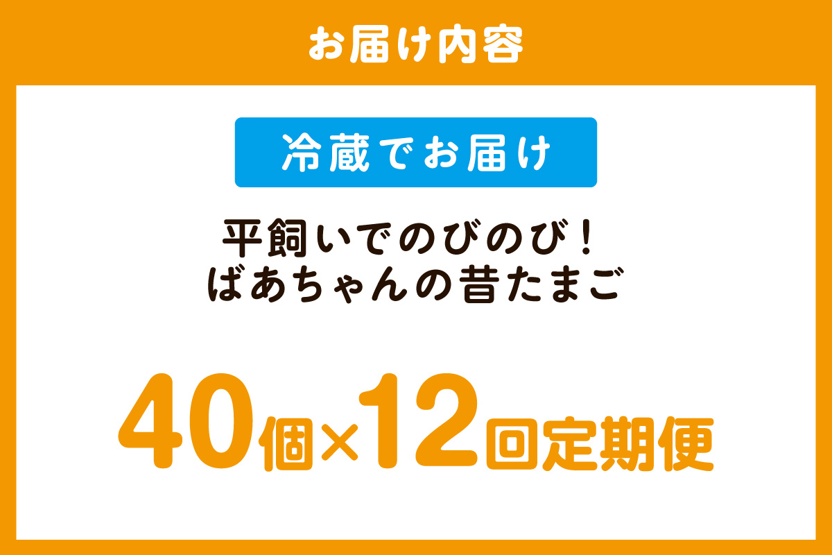 【12回定期便】平飼いで のびのび！ばあちゃんの昔たまご 40個/月 割れ保証あり 999-B612