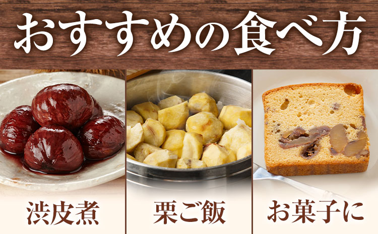 2026年産目利き厳選 やさい畑の美味しい栗 3kg 農家直送 厳選 生栗 冷蔵 送料 無料《9月下旬-10月上旬頃出荷》