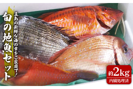 旬の地魚セット2kg（ウロコ・エラ・内臓処理済） 鮮魚 魚介 刺身 魚貝 海鮮 詰め合わせ BBQ バーベキュー 九州 長崎 旬  鮮魚 魚介 刺身 魚貝 海鮮 詰め合わせ BBQ バーベキュー 九州 長崎 旬 鮮魚 魚介 刺身 魚貝 海鮮 詰め合わせ BBQ バーベキュー 九州 長崎 旬 五島市 / 五島FF [PBJ009]