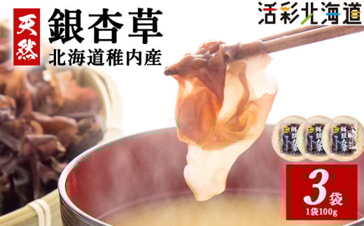 ＜希少 な 海藻 ＞稚内産 天然 銀杏草 100g ×3袋 北海道 国産