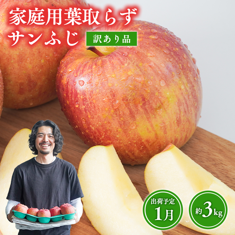 1月 葉取らずサンふじりんご 約3kg 訳あり 家庭用【青森県 平川市 森山商店 】