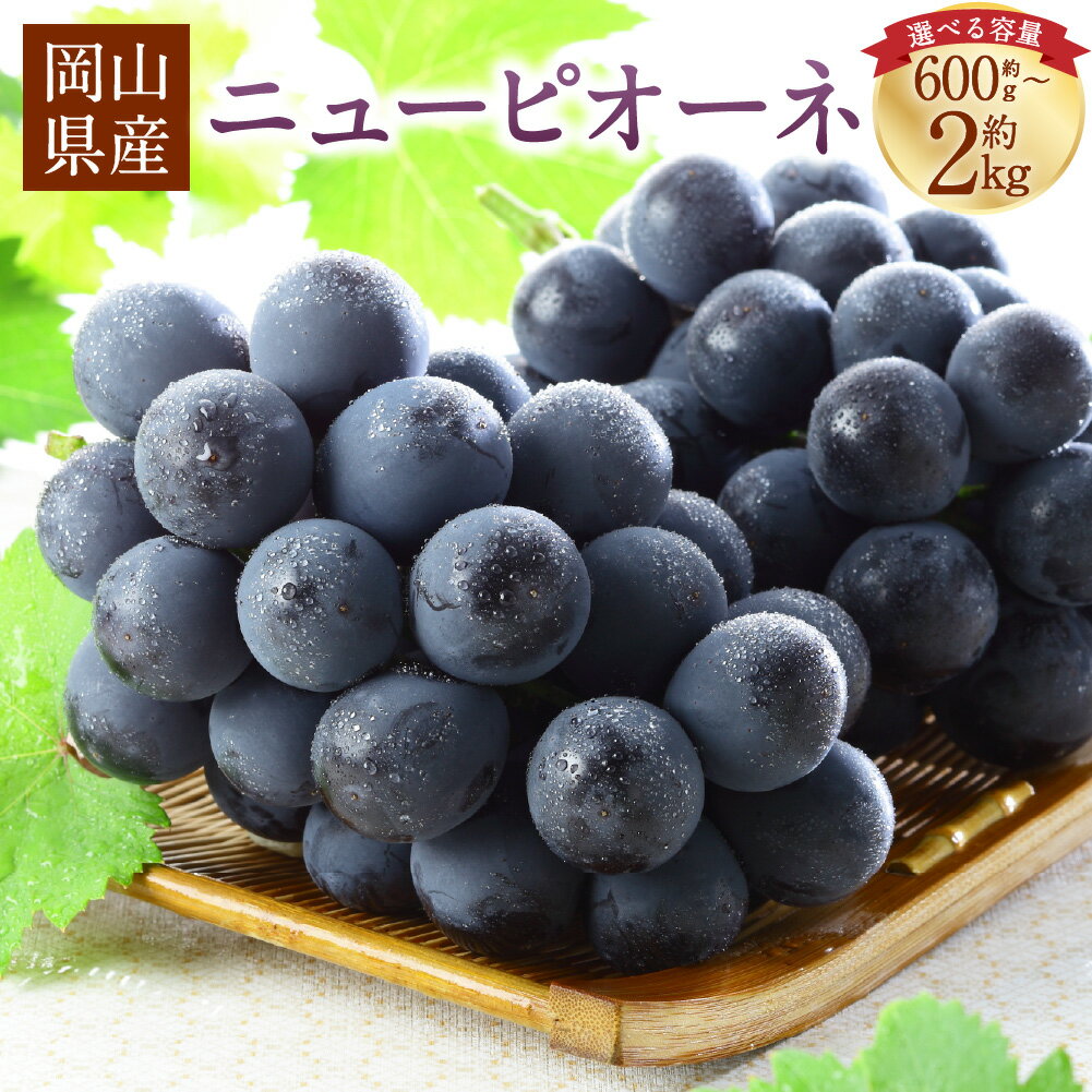 【ふるさと納税】岡山県産 ニューピオーネ ＜選べる内容量＞ 約600g～計約2kg 1房～6房 ぶどう ブドウ 葡萄 種なし 種無し フルーツ くだもの 果物 果実 デザート 冷蔵 国産 岡山県 美咲町 送料無料 【2026年8月下旬～9月下旬発送予定】