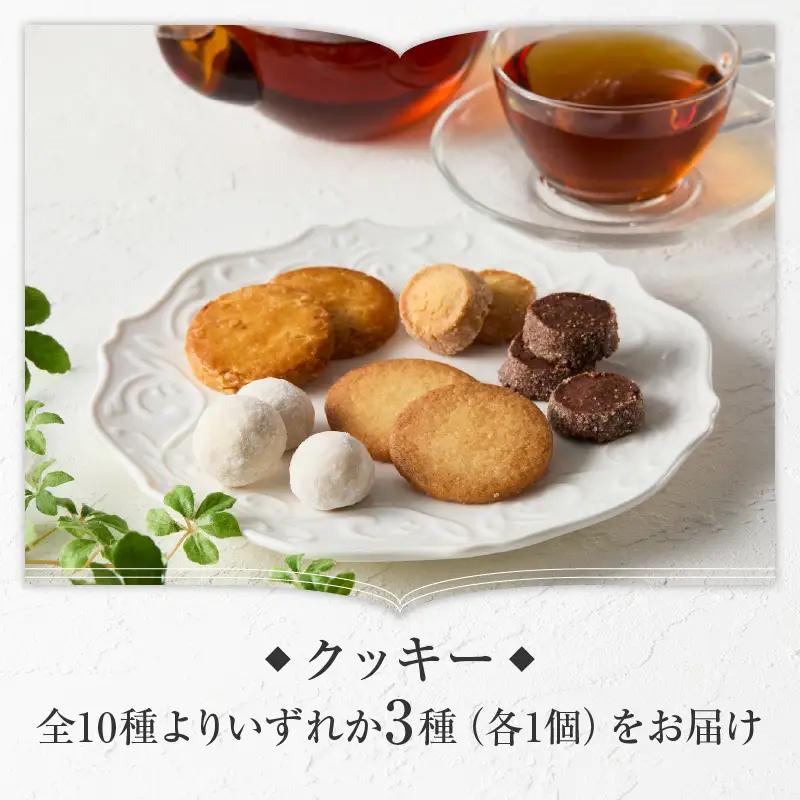 【パティスリーショコラトリーレシィ】アソートボックスA / スイーツ 洋菓子 焼き菓子 詰め合わせ クッキー ギフト プレゼント 贈り物 _0021-001-se5