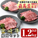 【ふるさと納税】宮崎牛焼肉セット(合計1.2kg・ウデ焼肉400g、モモ焼肉400g、バラ焼肉400g)国産 九州産 宮崎県産 牛肉 黒毛和牛 和牛 焼き肉 霜降り 食べ比べ セット 冷凍 バーベキュー【R-55】【ミヤチク】