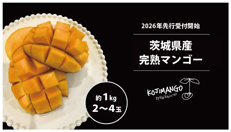 
            【 先行予約 2026年8月中旬順次発送】 完熟マンゴー 約 1kg ( 2～4玉 ) アーウィン マンゴー 茨城県 八千代町 [CX005ya]
          