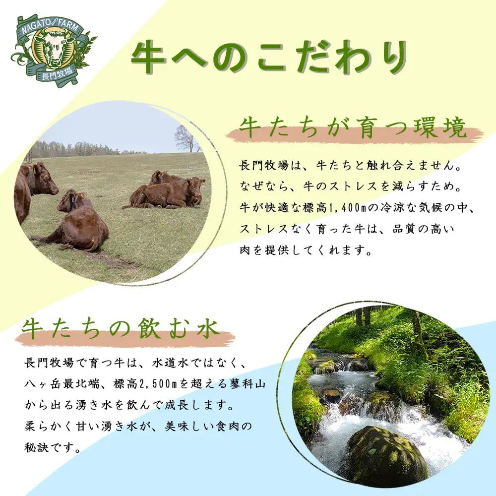 【ふるなびWEEK対象】【個数限定】長門牧場　希少和牛「日本短角種」おためしセット　お肉　国産牛肉　切り落とし　長野県お歳暮 放牧 赤身 旨み 詰合せ