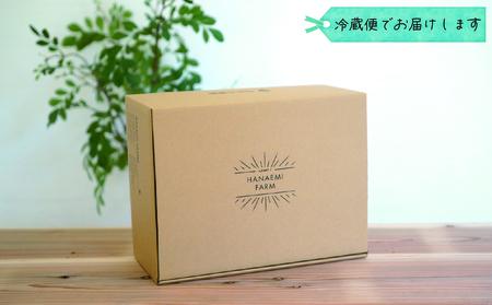 【2616-0443】岡山 花笑み農園『BKシードレス』2kg家庭用(3房から6房) B-2家