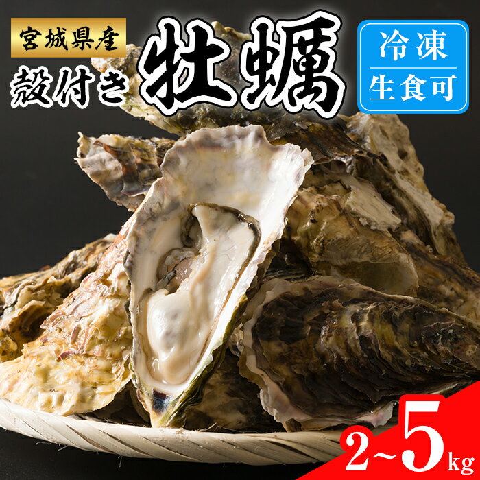 【ふるさと納税】 殻付き牡蠣（生食用）冷凍 選べる内容量 2kg～5kg 生牡蠣 宮城県産 牡蛎 牡蠣 カキ かき 生食 オイスター カキフライ 牡蠣鍋 海鮮 国産 魚貝類 バーベキュー BBQ【カタクチ商店株式会社】tm738・tm739・tm740・tm741