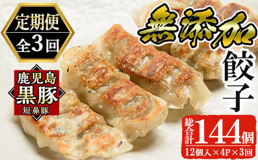 a880 《定期便全3回》鹿児島黒豚「短鼻豚」無添加餃子セット計144個(48個×3回)【鹿児島ますや】姶良市 ギョーザ 餃子 無添加 惣菜 おかず おつまみ 冷凍 黒豚 国産野菜 ぎょうざ