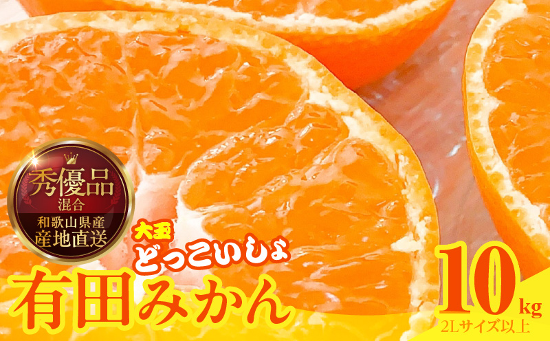 MK1034_2月28日終了！ 最短出荷すぐ届く！みかん 大玉 どっこいしょ 箱込 10kg ( 内容量 9.2kg ) 2Lサイズ以上 秀品 優品 混合 有田みかん 和歌山県産 産地直送 【みかんの会】