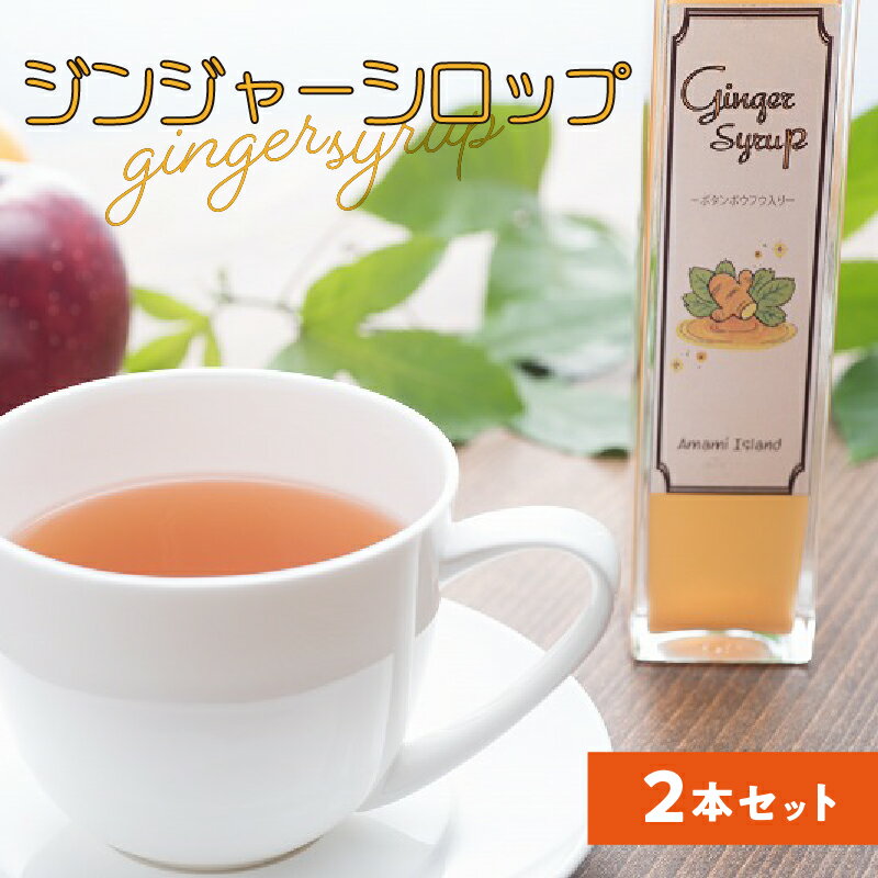 【ふるさと納税】ジンジャー シロップ 2本 セット 200ml × 2本 生姜 島生姜 オーガニック 炭酸割 辛口 ジンジャーエール ジンジャーティー 料理 隠し味 生姜紅茶 温活 人気 おすすめ お取り寄せ 送料無料 奄美 奄美大島