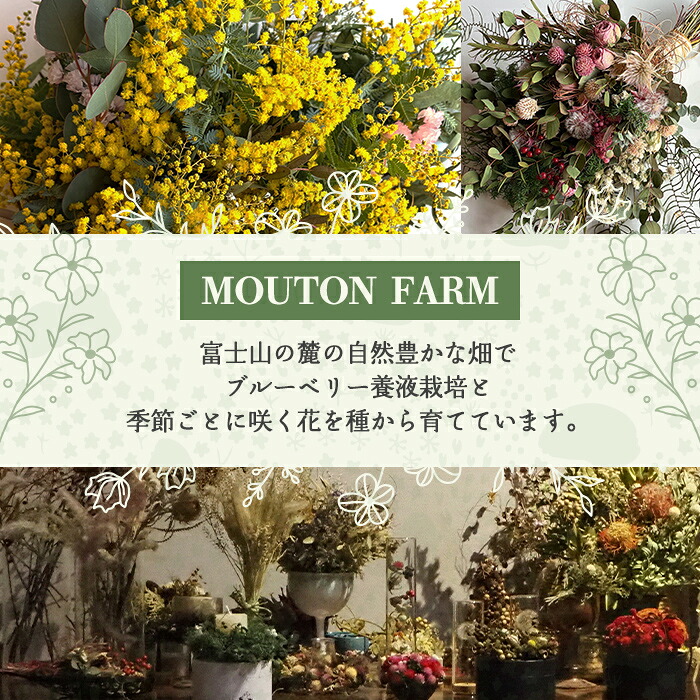 季節の花のドライフラワー　リース Sサイズ