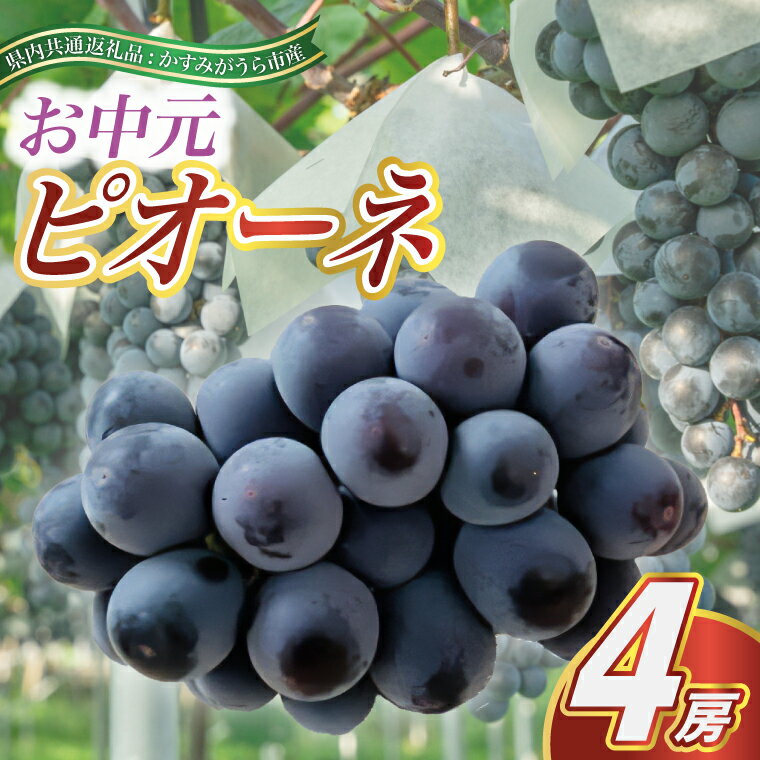 【ふるさと納税】【2025年8月より順次発送予定】お中元　ピオーネ　4房(県内共通返礼品:かすみがうら市産)【配送不可地域：離島・沖縄県】 (BR112)