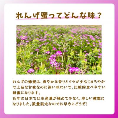 ふるさと納税 大牟田市 みつばちの雫　国産れんげ蜜　300g×2 |  | 01