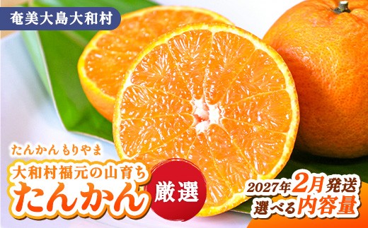 
                  【予約  2027年2月下旬頃～出荷予定】 たんかん 福元 山育ち 選べる内容量 柑橘 タンカン 湯湾岳 フルーツ 旬の果物 産地直送 鹿児島県 奄美大島 大和村 たんかんもりやま
                