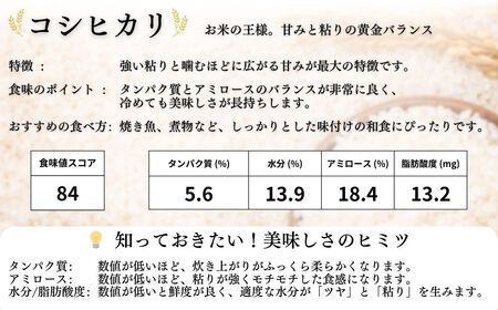 JAS有機米 コシヒカリ 玄米 5kg | 令和7年産 渡部有機農園